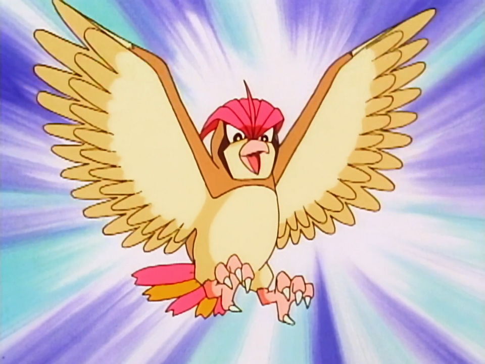 http://archives.bulbagarden.net/media/upload/0/06/Ash_Pidgeotto.png
