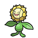 Sunflora