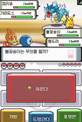 Pocket Monsters Diamond Pearl Korean Screenshot.jpg