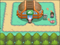 Azalea Gym Exterior HGSS screenshot.png