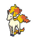 Rapidash