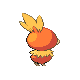 Torchic male back