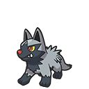 Poochyena