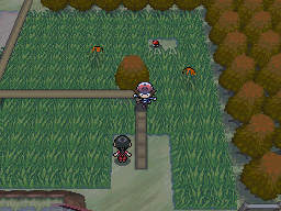 Unova Route 7 Autumn BW.png