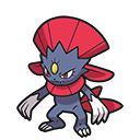 Weavile