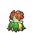 Bellossom