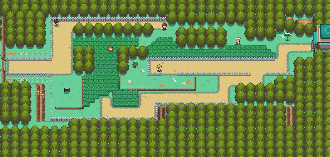 Johto_Route_38_HGSS.png