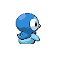 Piplup back