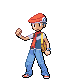 PKMN Trainer Bwburke