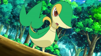 http://archives.bulbagarden.net/media/upload/archive/6/67/20101002031457%21Trip_Snivy.png