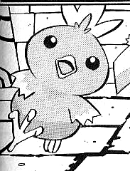 Ryū's Torchic