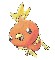 Chic Torchic.png