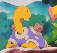 Old Man Shuckle's Shuckle File:ShinyBWStar.png