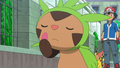 Chespin's green arm