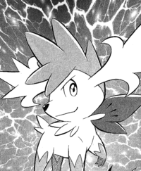 Yū Shirogane's Shaymin in Sky Forme