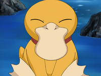 Emily's Psyduck