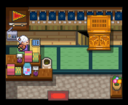 Mahogany Town Shop HGSS.png