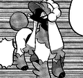 Furfrou Matron Trim in Pokémon Adventures