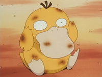 Misty's Psyduck