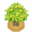 NomelTreeBerryVI XY.png