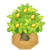 NomelTreeBerryVI XY.png