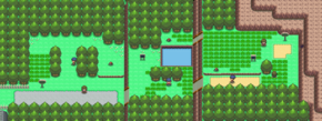 Sinnoh Route 203 Pt.png