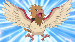 http://archives.bulbagarden.net/media/upload/thumb/0/0d/Spearow_anime.png/250px-Spearow_anime.png