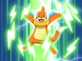 Buizel with the Ele-Seal