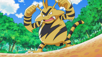 Paul's Electabuzz