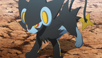 Clemont's Luxray