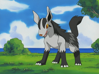 Tabitha's Mightyena