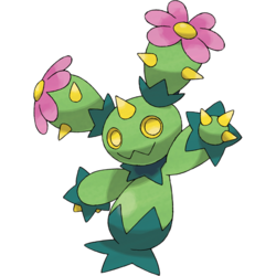 Maractus