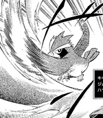 Falkner Pidgey Sand-Attack JBA.png