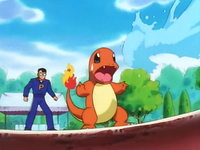 Pokémon League entrance exam instructor's Charmander