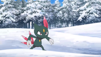 http://archives.bulbagarden.net/media/upload/thumb/1/19/Sneasel_anime.png/200px-Sneasel_anime.png
