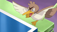 Wilkinson Farfetch'd.png