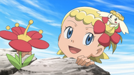 Flabebe and the Fairy Flower!