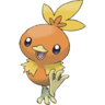 255Torchic E.png