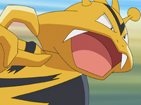 Jump's Electabuzz