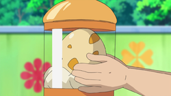 Scraggy Egg.png