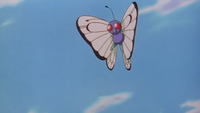 Lisa's Butterfree