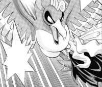 Masked Man's Ho-Oh