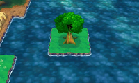 Secret Spot Route 114 1.png