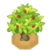 RazzTreeBuddingVI XY.png