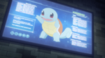 Oak Squirtle PO.png