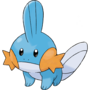 Mudkip, the Water-type Pokémon!
