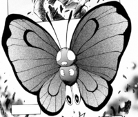Ash's Butterfree