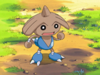 Butch's Hitmontop