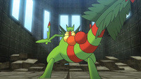 Brendan's Mega Sceptile