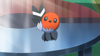 Grace's Fletchling